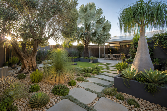 Best Feature Trees for High-End Residential Landscaping