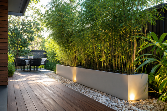 The Landscaper’s Secret Weapon: Using Troughs and Pebbles for Quick Privacy