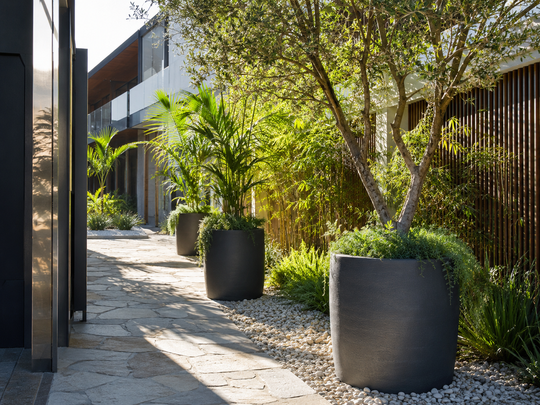 The Benefits of Fiberclay Planters for Builders, Landscapers, and Developers