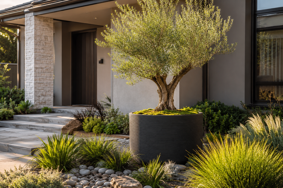 How to Choose Feature Trees for Your Garden or Landscape Design: A Complete Guide for Stunning Outdoor Spaces