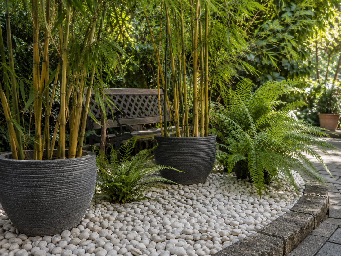 The Power of White: How White Decorative Pebbles Brighten Shady Garden Corners