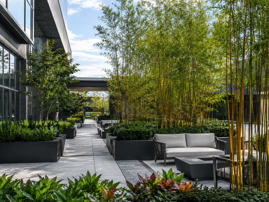 Scaling Up: Moving from Residential to Commercial Landscape Design