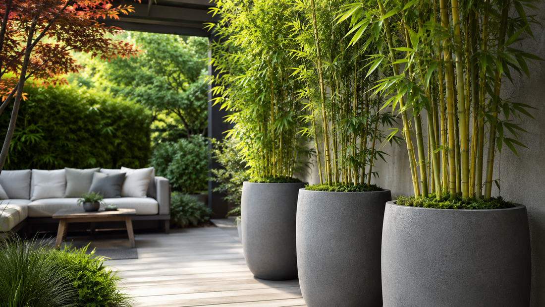 The Professional Choice: Why Landscapers Prefer Fiberclay Over Traditional Ceramic