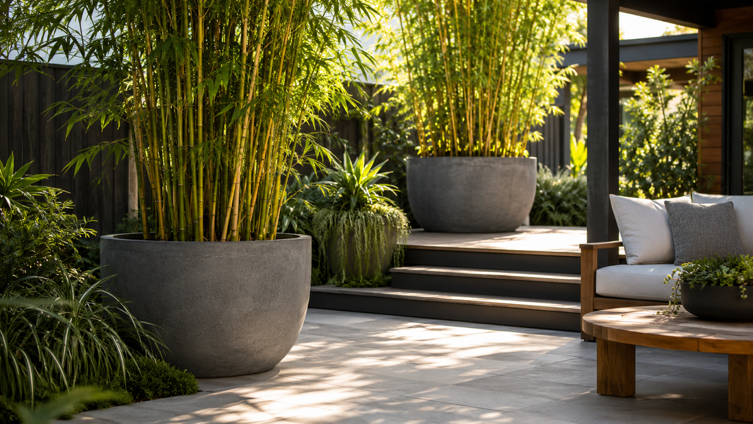 Why Grey Planters Are a Timeless Choice for Australian Outdoor Design