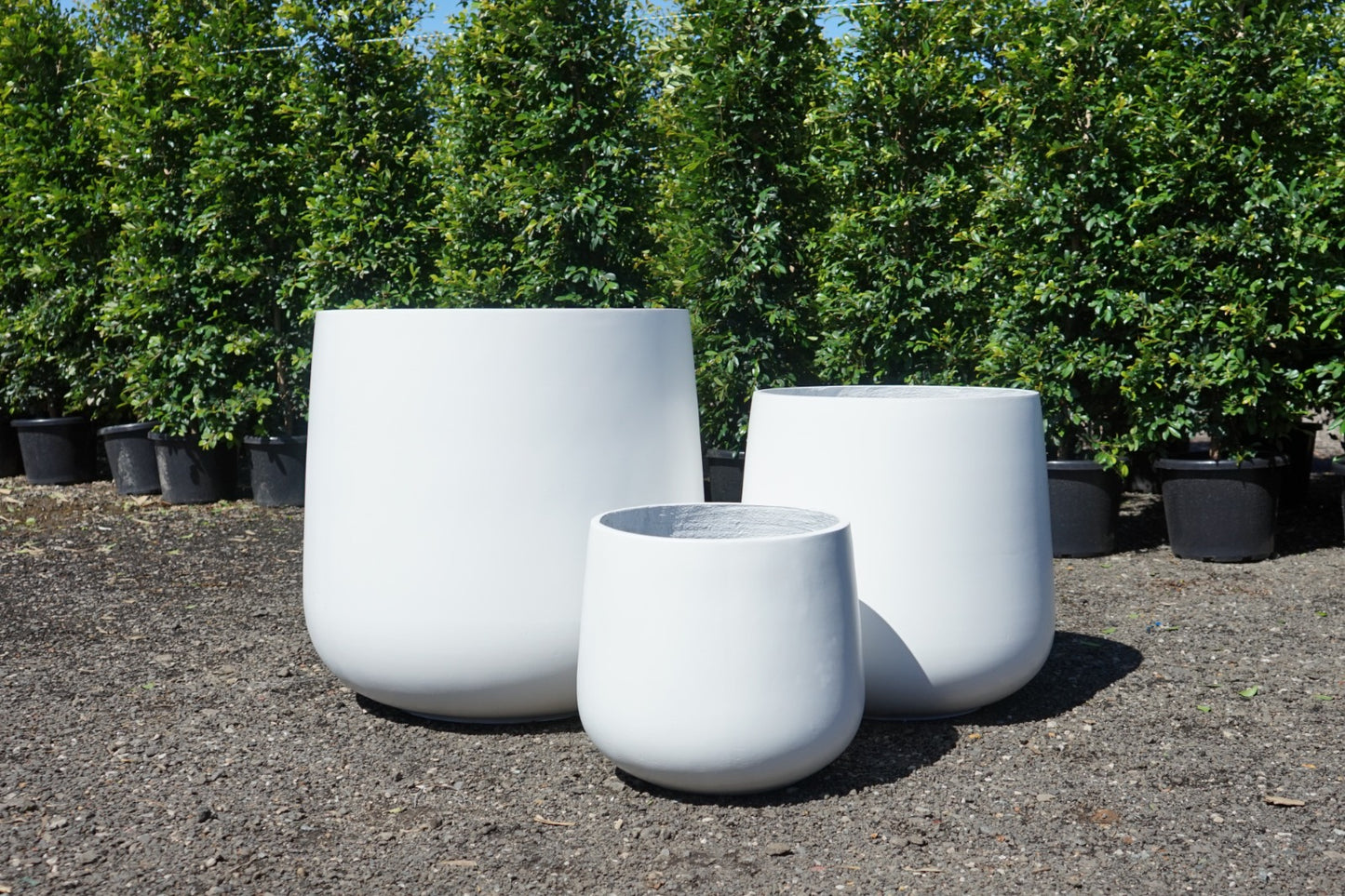 The Vessel Collection – Egg Shaped Pots